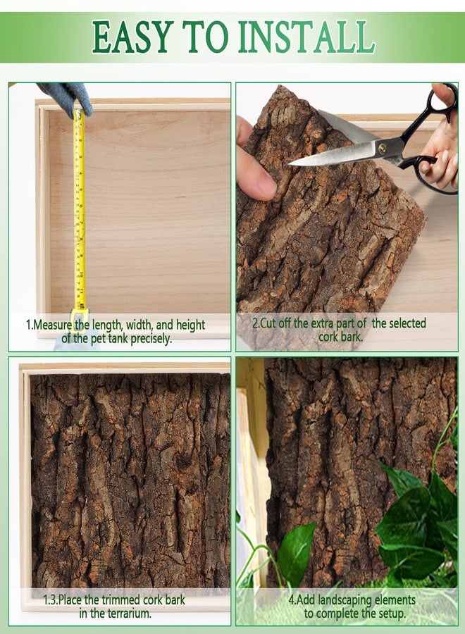 SHINEOFI 4Pcs Reptile Cork Bark Terrarium Background Natural Tree Bark Tank Decor Aquarium Decoration for Bearded Dragons Geckos Lizards Frogs, 5.9X5.9In - Image 5